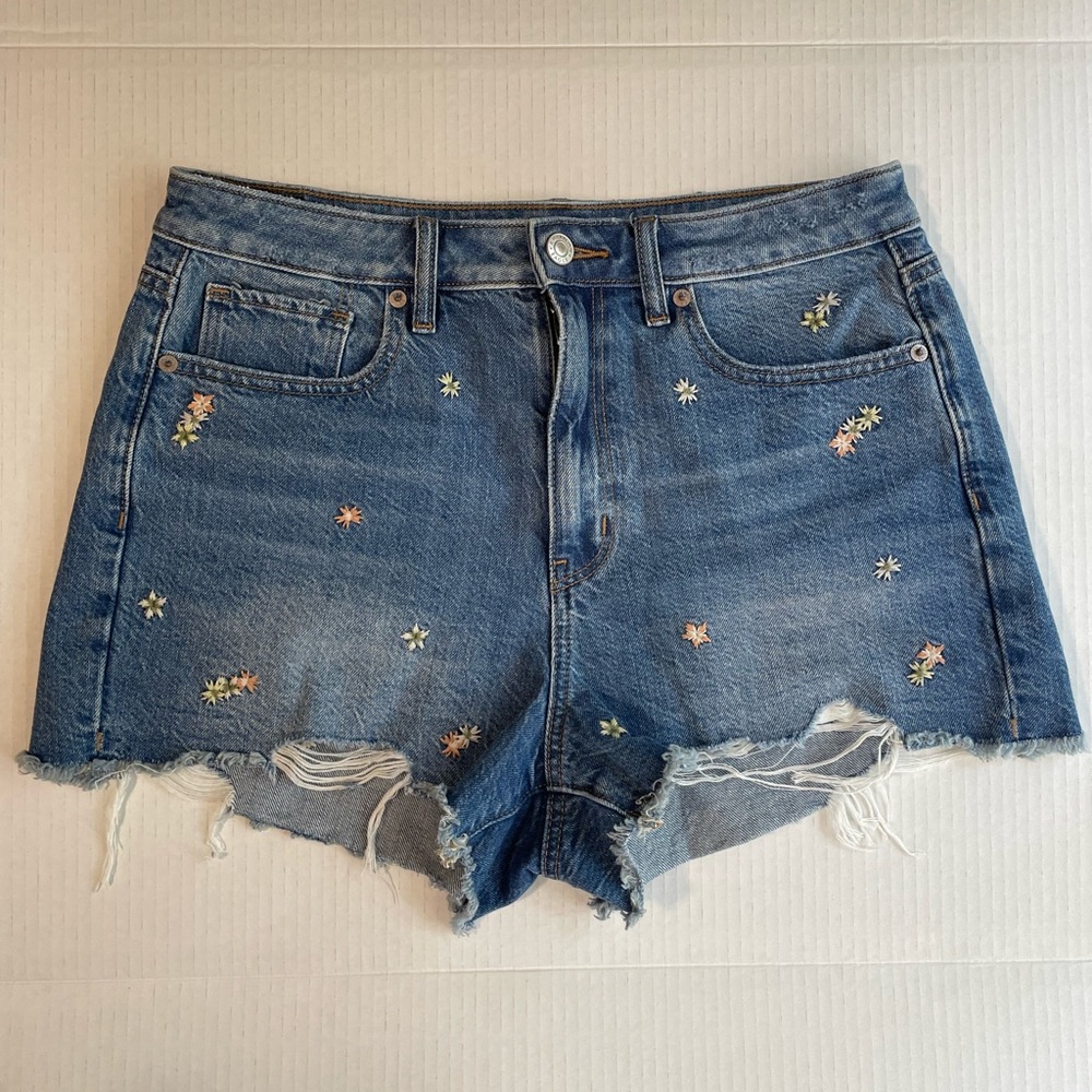 American Eagle Outfitter Denim Mom Shorts
